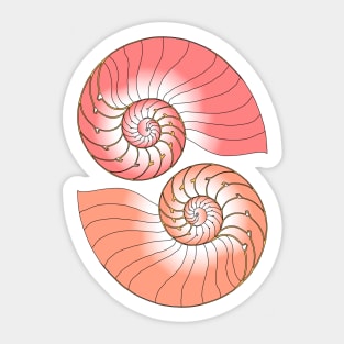 Nautilus Sticker